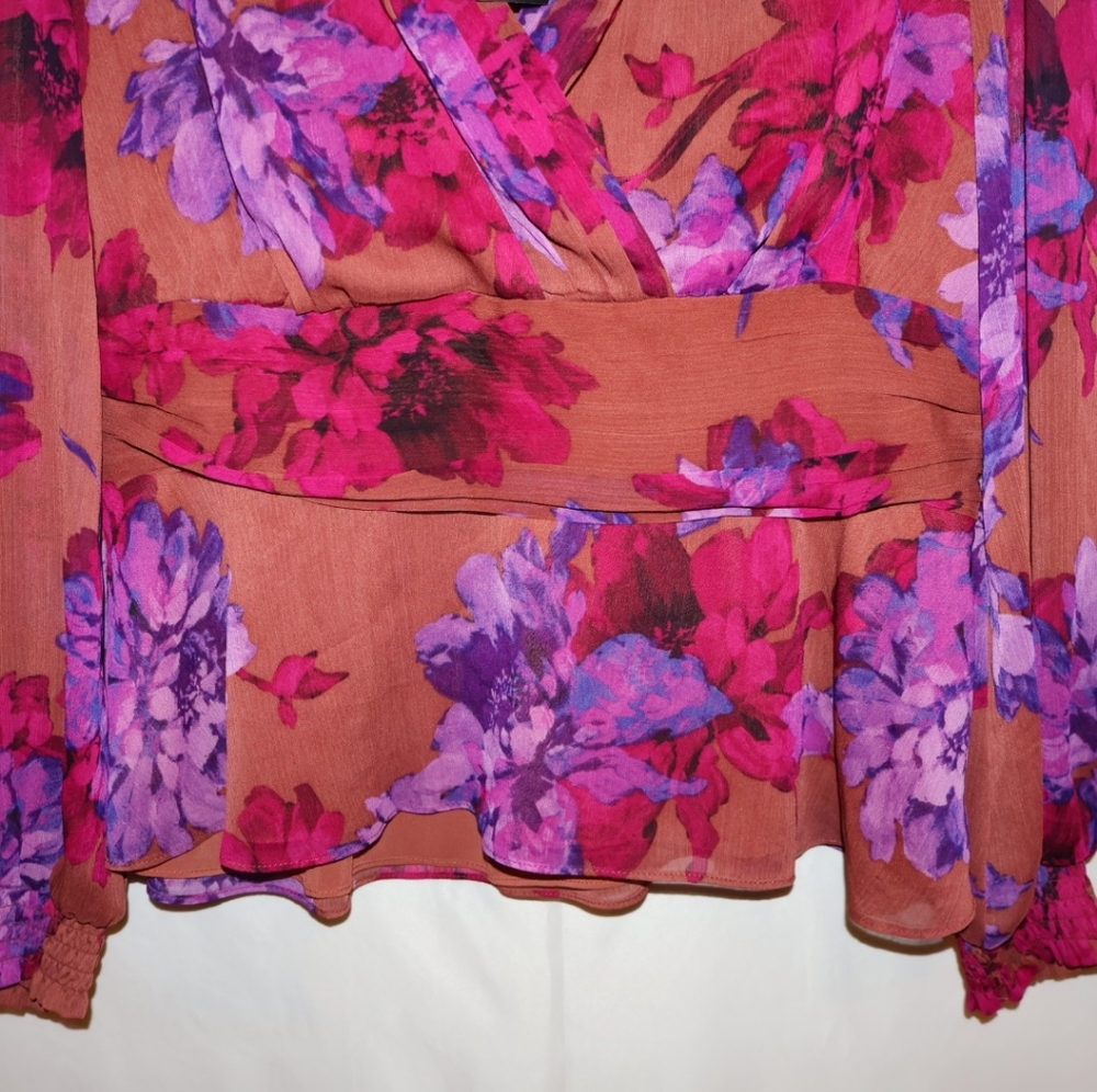 Sofia Vergara Ruched Waist Blouse with Long Sheer Sleeves. - Picture 5 of 11